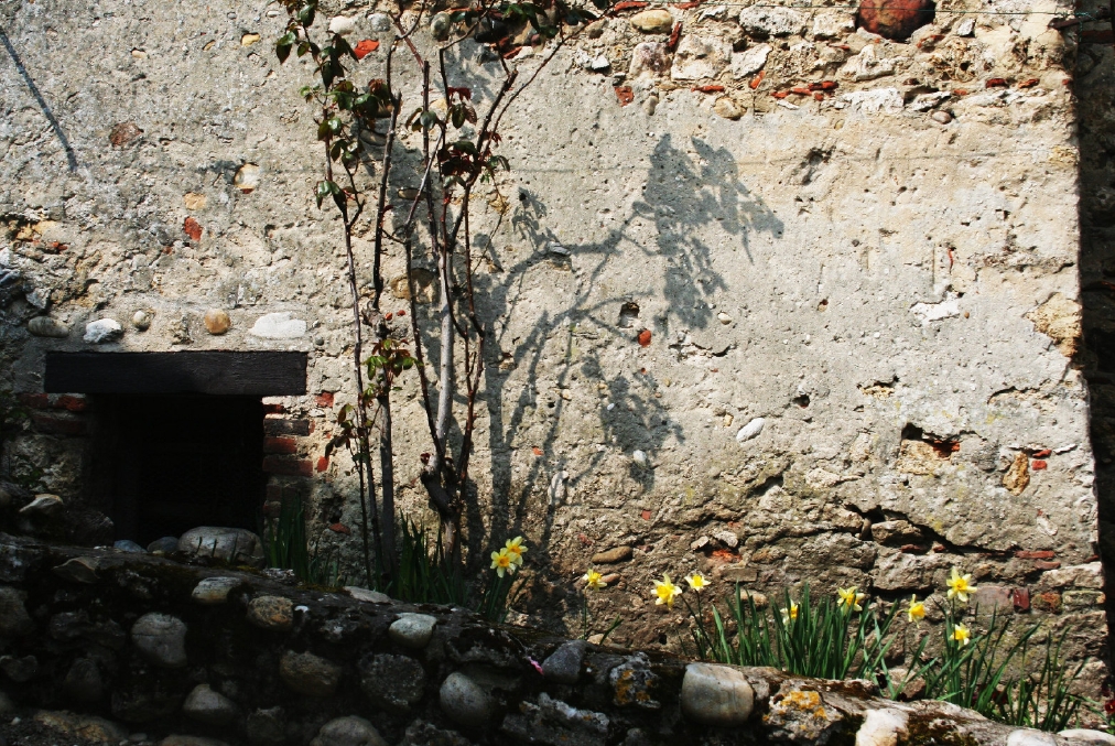 renovation-maison renovation-maison