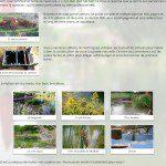 piscine naturelle piscine naturelle