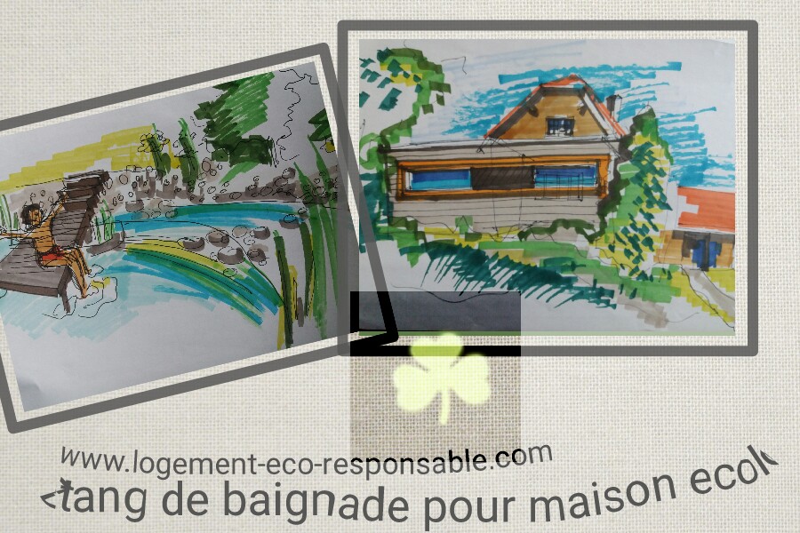piscine naturelle etang baignade