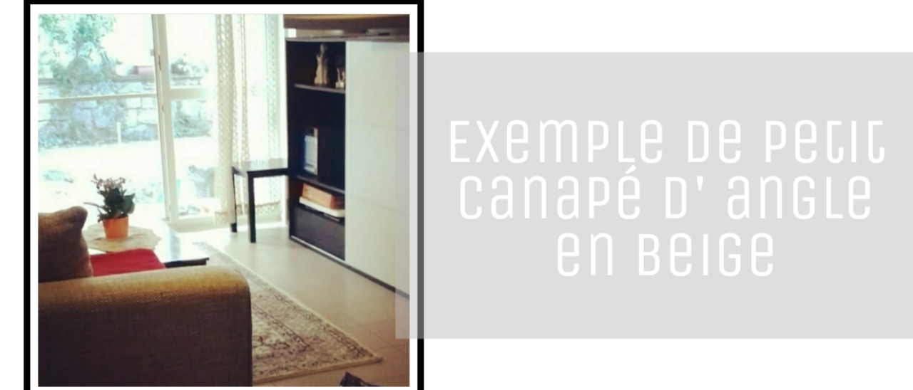 exemple de petit canape d'angle dans un petit salon choisir un canape d angle deco tendance salon