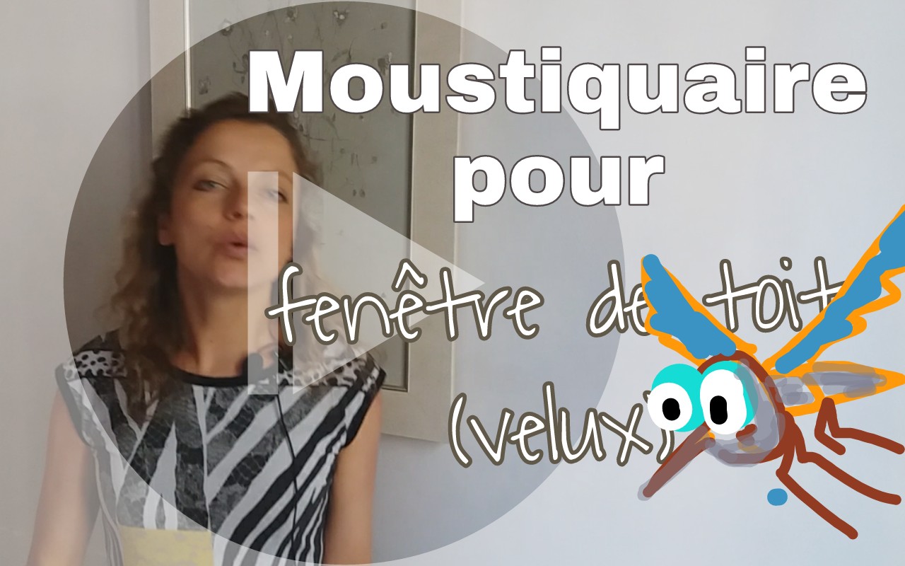 moustiquaire velux