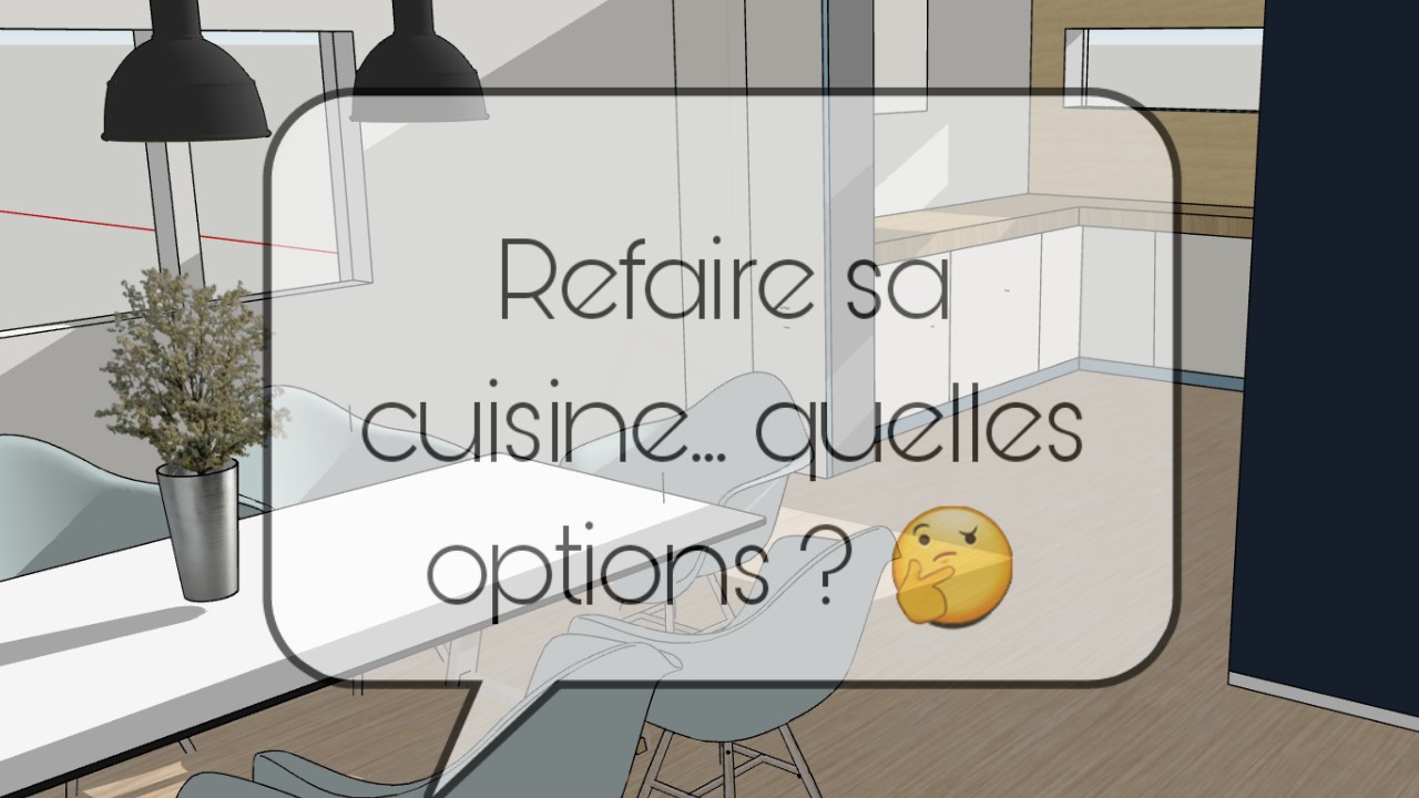 refaire sa cuisine quelles options