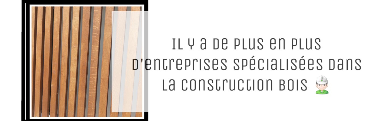 constrcution en ossature bois (devis entreprises) (1)