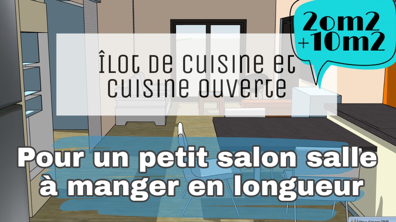 salon salle a manger de 20 m2 agrandi avec une cuisine ouverte