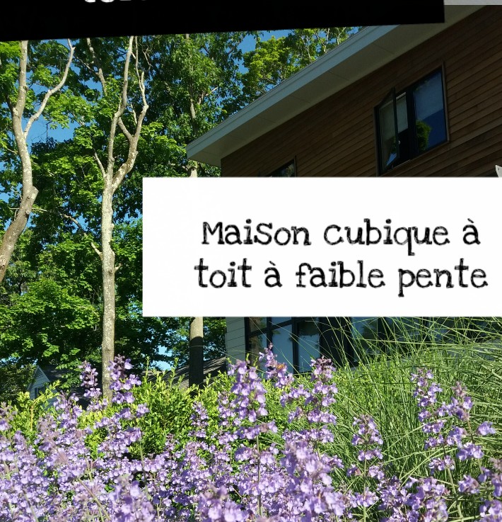 maison cubique avec toit à faible pente