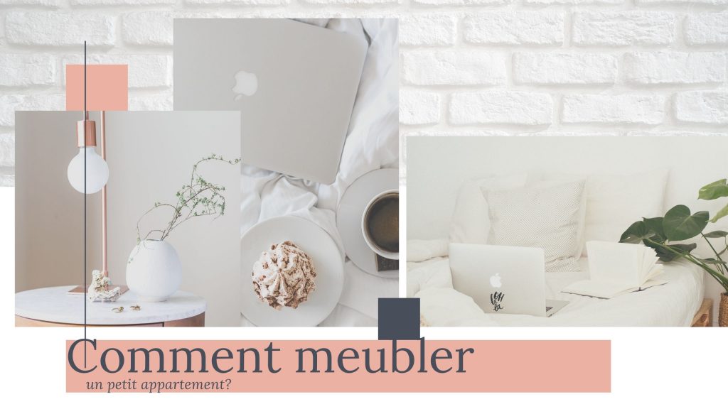 meubler petit appartement style scandinave