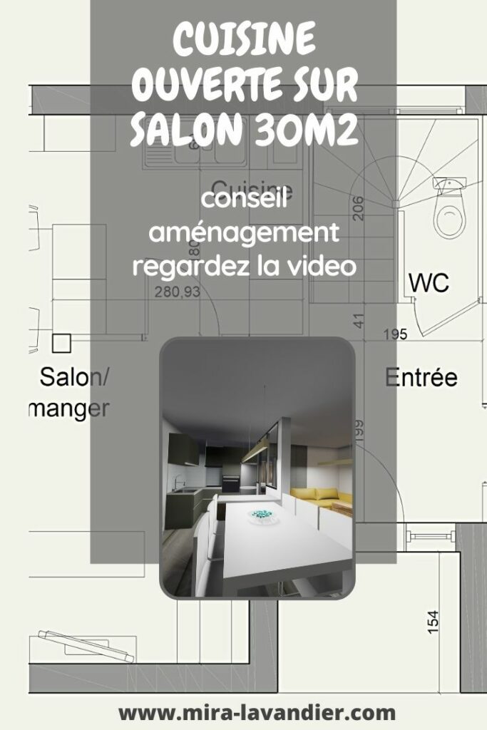 cuisine ouverte sur salon 30m2