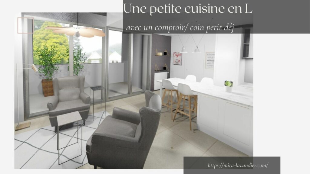 petite cuisine ouverte avec comptoir