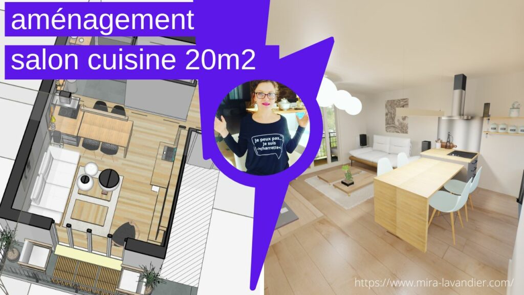 aménagement salon cuisine 20m2