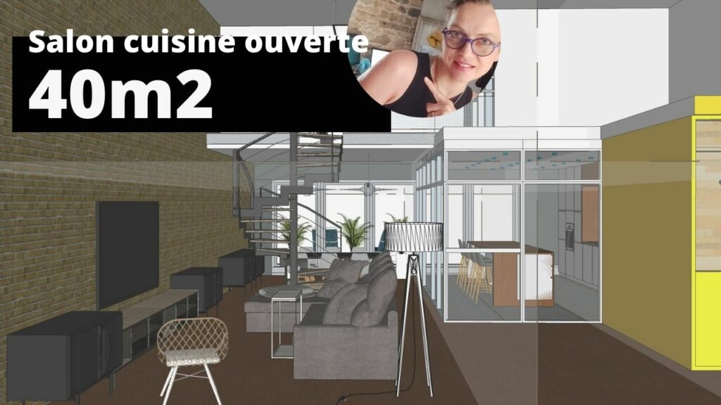 40m2 salon cuisine ouverte