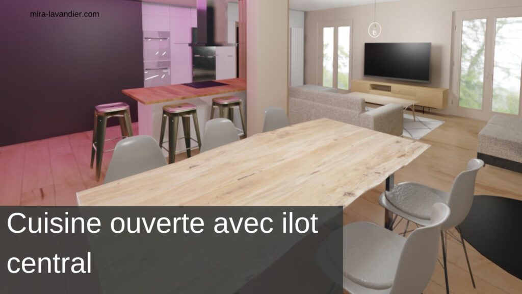 cuisine ouverte avec ilot central