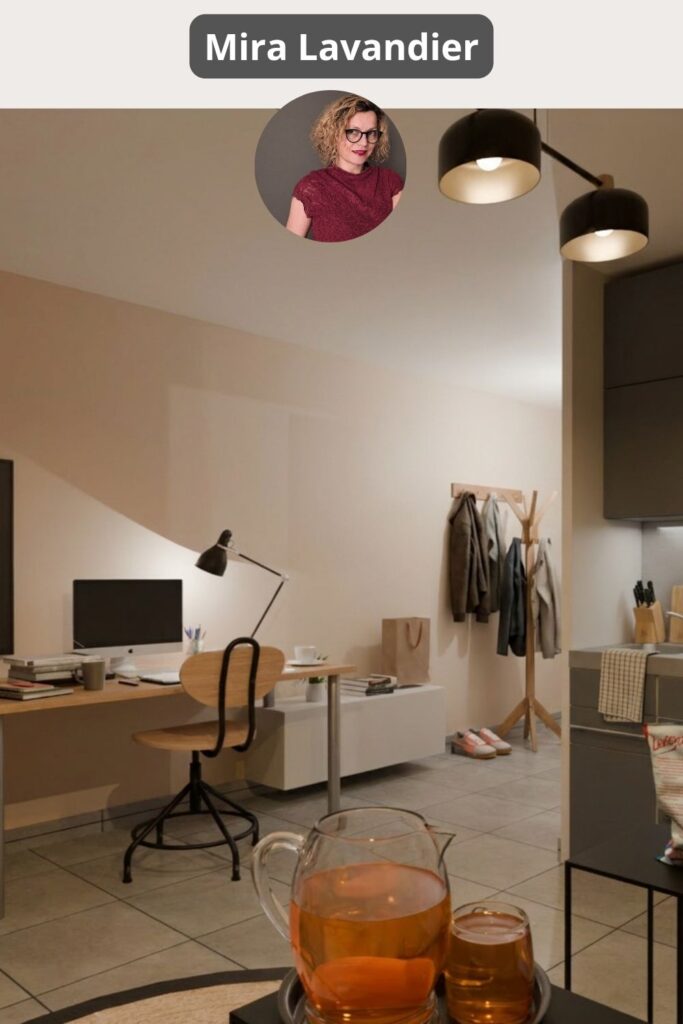 Aménagement de studio de 30m2 avec extérieur, vue en 3D du projet
