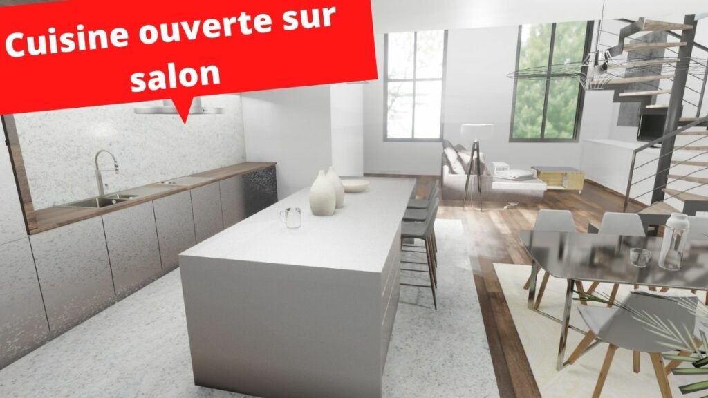 Cuisine ouverte salon avec carrelage et parquet